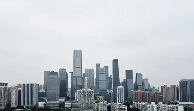成果转化服务模式中技术支持问题及优化方向